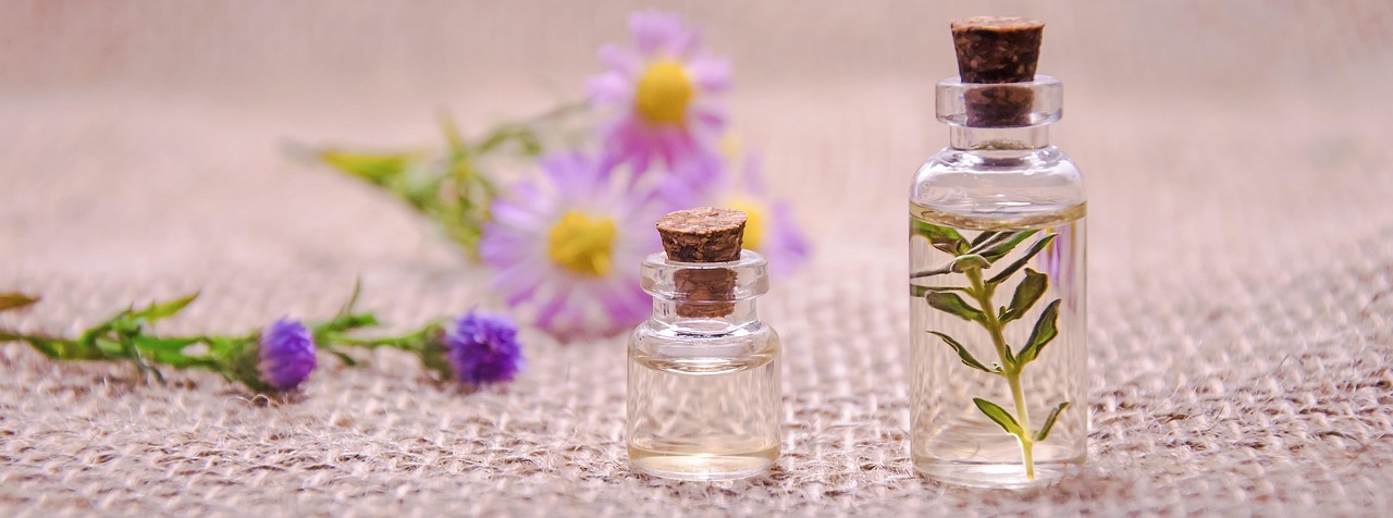 Where to Buy Melissa Essential Oil: Smart Shopping for a Scarce Oil